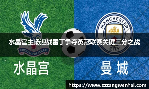 水晶宫主场迎战雷丁争夺英冠联赛关键三分之战